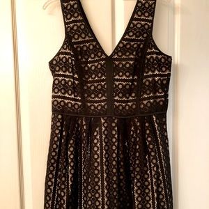 Loft Geo Striped Black Lace A-line Dress